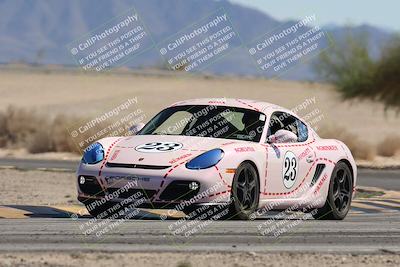 media/Oct-18-2025-PCA San Diego (Sat) [[653db1c827]]/3-Orange/Session 3 Turn 4 Tree of Life/